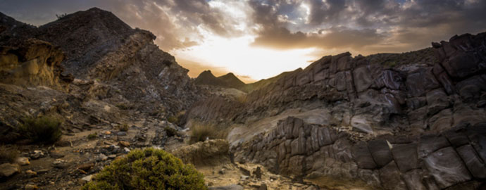 La biodiversidad del desierto de Almería sufre una grave amenaza