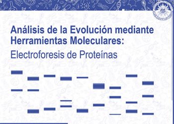 Análisis de la Evolución mediante Herramientas Moleculares: Electroforesis de Proteínas